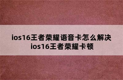 ios16王者荣耀语音卡怎么解决 ios16王者荣耀卡顿